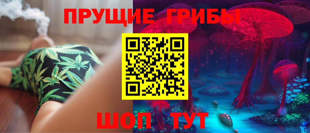 Галлюциногенные грибы Cubensis Мирный